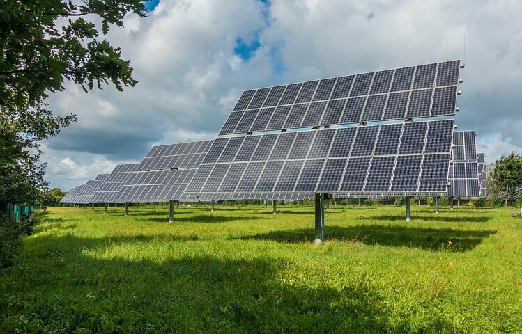 Net Zero Commitment
